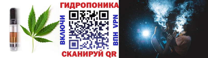 Canna-Cookies марихуана  mega ссылка  Моршанск 
