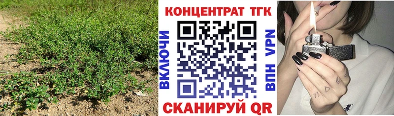 мориарти наркотические препараты  Моршанск  Дистиллят ТГК вейп с тгк  даркнет сайт 