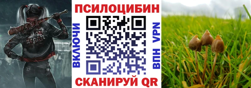 blacksprut ссылка  Моршанск  Галлюциногенные грибы ЛСД 